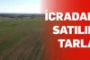 Diyarbakır Yenişehir’de icradan satılık sulu tarla