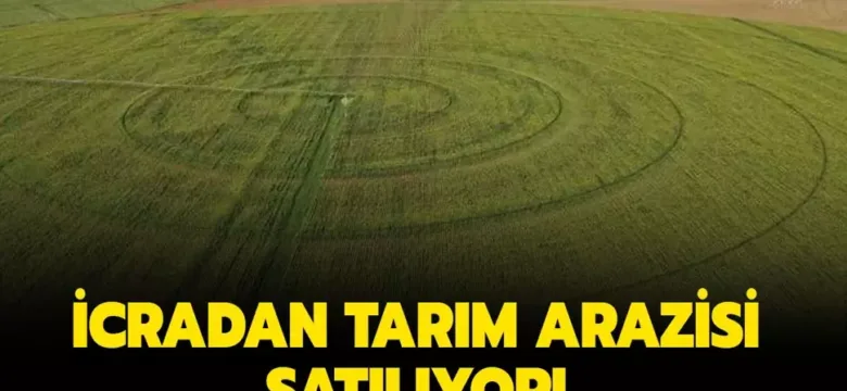 Diyarbakır Bismil’de icradan satılık hisseli tarım arazisi